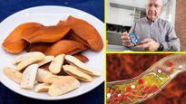 Sky fruit benefits: రుచిలో కాస్త చేదుగా ఉన్నప్పటికీ, ఈ చక్కెర బాదం మధుమేహం-కొలెస్ట్రాల్‌ను నియంత్రిస్తుంది   