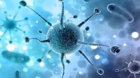 Burundi Mysterious Virus: ఆఫ్రికాలో అంతుచిక్కని వైరస్, ముక్కు నుండి రక్తం కక్కుకుని చనిపోతున్న జనాలు 