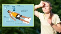 Sun Stroke:సన్ స్ట్రోక్ వల్ల ఎన్నో ఆరోగ్య సమస్యలు! దీని లక్షణాలు, ప్రథమ చికిత్స!