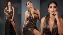 Shriya Saran: శ్రియా శరణ్ ఘాటు అందాలు, తరగని యవ్వనాల ఆరబోత