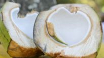 Coconut Malai: కొబ్బరి మలై.. రుచికి రుచి, ఆరోగ్యానికి ఆరోగ్యం 