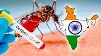 భారతదేశంలో డెంగ్యూ వైరస్ ఎలా ఉద్భవించింది - కొత్త అధ్యయనం ఏం చెబుతోంది