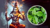 శ్రావణ మాసం: శివునికి బిల్వపత్ర పత్రాలను ఎందుకు సమర్పిస్తారు? సమర్పించేటప్పుడు ఈ నియమాలను తెలుసుకోండి
