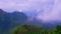  Horsley Hills to Araku:ఆంధ్ర ప్రదేశ్ అందాలను చూడటానికి స్నేహితులతో కలిసి ఈ హిల్ స్టేషన్‌ని తప్పక సందర్శించండి