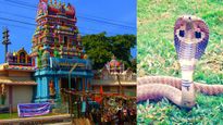 మీకు నాగదోషం ఉందా.. ఈ ఆలయంలో చేసే పూజతో సమస్య తొలగిపోతుంది 