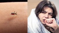 Dengue: డెంగ్యూ నుండి కోలుకున్న తర్వాత కూడా ఈ దుష్ప్రభావాలు తప్పవు!