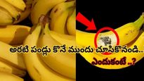 అరటి పండ్లపై ఇలాంటి మచ్చలు ఉంటే యమడేంజర్ చూసి కొనండి!! లేదంటే..?