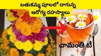 Bathukamma 2023: బతుకమ్మ పూలలో చామంతి:  చామంతి ‘‘టీ’’ లో అద్భుతమై ఆరోగ్య ప్రయోజనాలు