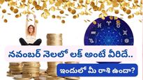 November 2023 Lucky Zodiacs: నవంబర్ నెలలో ఈ 3 రాశుల వారిపై ధన వర్షం కురుస్తుంది..లక్ అంటే వీరిదే