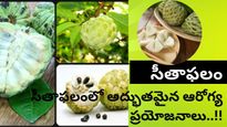 Custard Apple-సీతాఫలం: సీతాఫలంలో చిన్న చితక కాదు.. అతి పెద్ద ప్రయోజనాలు ఉన్నాయి.!