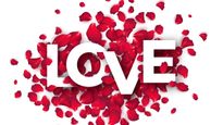 Rose Day 2024: First Night Roses: మొదటిరాత్రి గులాబీ పూలతో గదిని అలంకరించడం ఎందుకు?