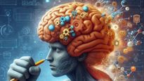 Human Brain Size రోజు రోజుకు పెరుగుతున్న మానవ మెదడు సైజు, రాబోవు కాలంలో బహుషా ఈ వ్యాధులు ఉండవకపోవచ్చు..