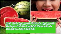 సైజ్ చూసి పుచ్చకాయ కొనకండి..పుచ్చకాయ తియ్యగా మరియు పండినది కొనాలంటే ఈ విషయాలు గుర్తుంచుకోండి.