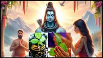 ఇష్టార్థి సిద్ధి కోసం మహాశివరాత్రి నాడు బిల్వపత్రాన్ని సమర్పించేటప్పుడు ఈ నియమాన్ని పాటించండి..