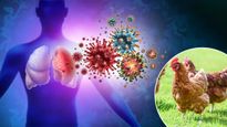 H5n1 Bird Flu : ప్రపంచవ్యాప్తంగా H5n1 ప్రమాదం పొంచి ఉంది, బర్డ్ ఫ్లూ ఎంత ప్రమాదకరమైనదో తెలుసుకోండి