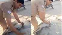 Viral Videos : కోతికి సీపీఆర్ చేసి ప్రాణాలు రక్షించిన కానిస్టేబుల్..! 