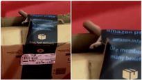 Viral Videos : అమెజాన్ పార్సెల్‌లో తాచు పాము..చాక్లెట్ సిరప్‌లో చచ్చిన ఎలుక.. ఏ పార్సెల్‌లొ ఏమి వుందో..!