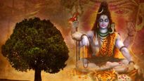 రుద్రక్ష ధరిస్తే ఎన్నో ఉపయోగాలు..! రుద్రాక్ష వేసుకుంటే ఫలితం స్పష్టంగా బయటపడుతుంది..!