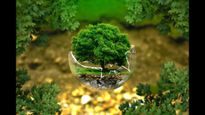 World Environment Day 2024 : ప్రపంచ పర్యావరణ దినోత్సవ శుభాకాంక్షలు ! అనుక్షణం మనల్ని పరిరక్షిస్తున్న ప్రకృతి !