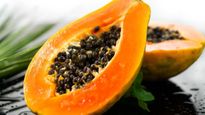 Winter Health: చలికాలంలో ఈ పండు తింటే, దేవతల అమృతం తిన్నట్టే.. రోగాలన్నీ పరార్!