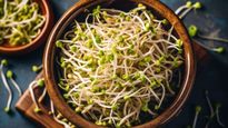 Sprouts: ఈ గింజలు తింటే గంటసేపు శృంగారంలో పాల్గొంటారు.. మీరే కింగ్ అవుతారు!