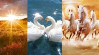 Vastu: ఇంట్లో ఈ 5 పెయింటింగ్స్ ఉంటే.. డబ్బు ప్రవాహం, జీవితంలో సానుకూల మార్పులు