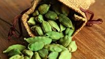 Cardamom: పచ్చి యాలకలలో ఇంత మ్యాటర్ ఉందా? మీకు ఈ విషయం తెలుసా 