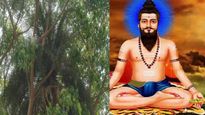 ఇదెక్కడి వింత బాబోయ్.. ఇది చూస్తే బ్రహ్మం గారు చెప్పింది నిజమేనేమో అనిపిస్తుంది! 