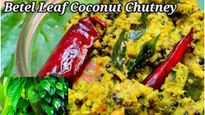 తమలపాకు కొబ్బరి పచ్చడి ఎప్పుడైనా తిన్నారా? దీని ముందు మిగతా చట్నీలన్నీ వేస్ట్..ఎలా చేసుకోవాలంటే