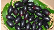 Jamun: నేరేడు పండ్లు తిన్న వెంటనే ఇవి అస్సలు తీసుకోకూడదు..విషంతో సమానమే!