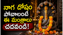 నాగ దోషంతో ఇబ్బందులు పడుతున్నారా? ఈ 5 శక్తివంతమైన మంత్రాలు జపిస్తే చాలు