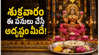 శుక్రవారం ఈ పూజలు చేస్తే లక్ష్మీదేవి అనుగ్రహం కలుగుతుందట.. ఇంట్లో ధనం, శుభం పెరుగుతాయా?