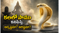 కలలో పాము కనిపిస్తే ఏమి అర్థం? శాస్త్రాలు, స్వప్న శాస్త్రం చెప్పే ఆశ్చర్యకర సంకేతాలు ఇవే!