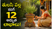 ప్రతి ఇంట్లో తులసి ఎందుకు ఉండాలి? ఈ 12 ప్రయోజనాలు తెలిస్తే వెంటనే నాటేస్తారు!