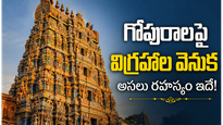 దేవాలయాల్లో గోపురాలపై విగ్రహాలు ఎందుకు చెక్కబడ్డాయి?
