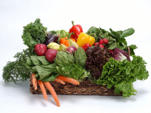 Germs in Vegetables Germs in Vegetables