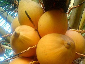 Healthy Alternatives For Water! Healthy Alternatives For Water!