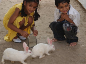 Kids Who Are Too Clean, More Easy to Get Sick Kids Who Are Too Clean, More Easy to Get Sick