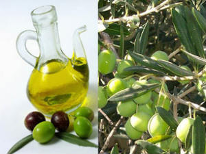 ఆలివ్ ఆయిల్: 