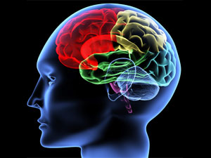 Our Habits that Damage the Brain! Our Habits that Damage the Brain!