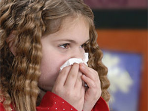 Ways To Prevent Dust Allergy Ways To Prevent Dust Allergy