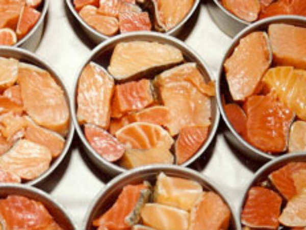 సాల్మన్ ఫిష్