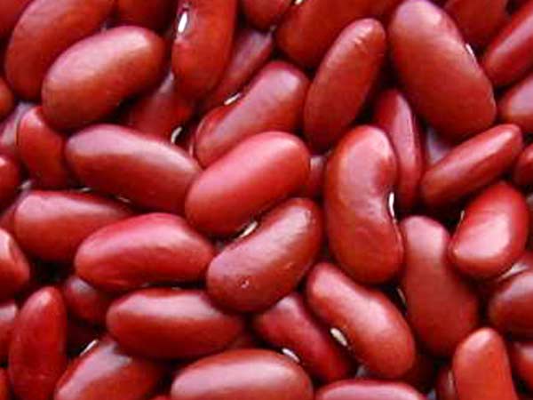 కిడ్నీ బీన్స్
