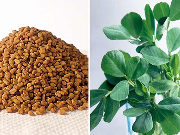 మెంతులతో మాస్క్