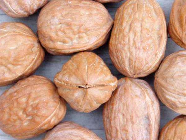 వాల్ నట్స్