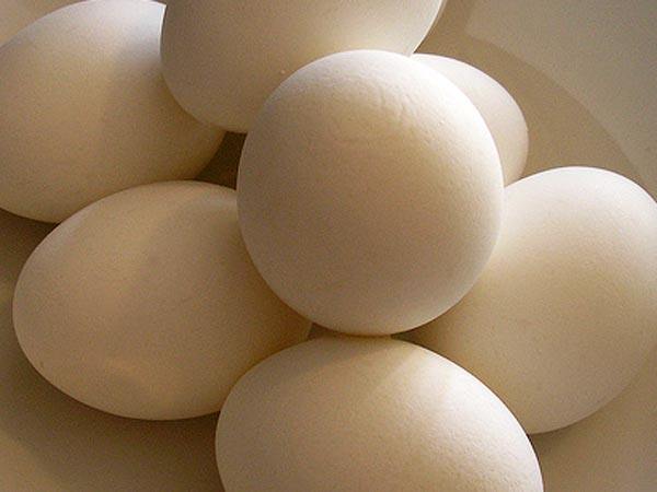 యవ్వనానికి గుడ్డు