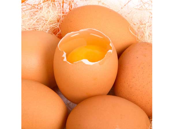 గుడ్డులోని పచ్చసొన