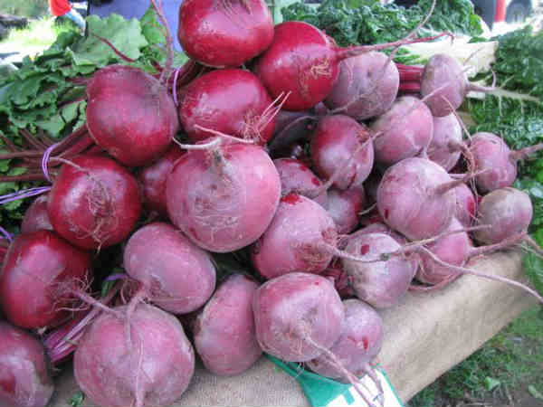 బీట్‌రూట్