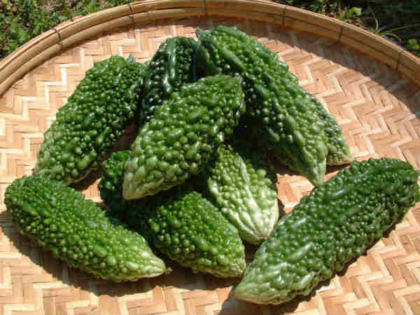 కాకరకాయ