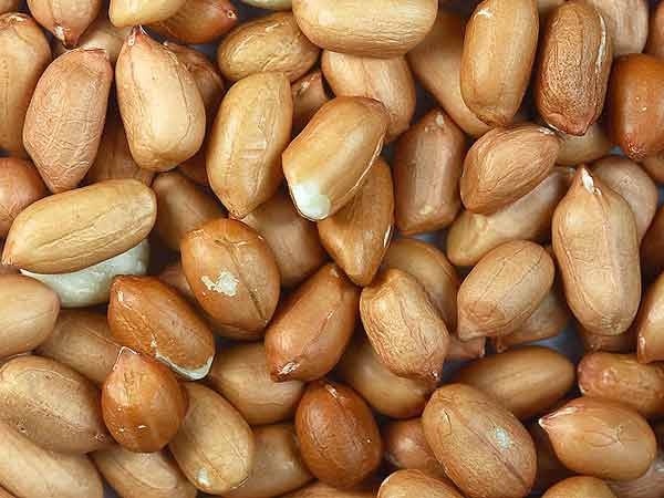 పల్లీలు